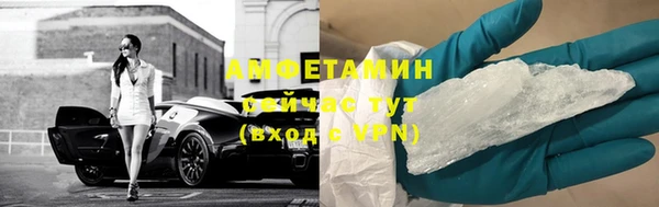 шишки Абаза