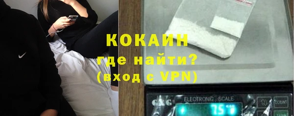 шишки Абаза