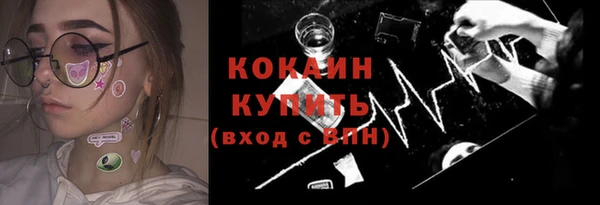 шишки Абаза
