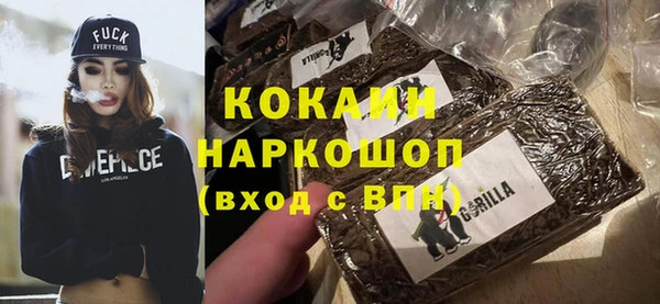 шишки Абаза