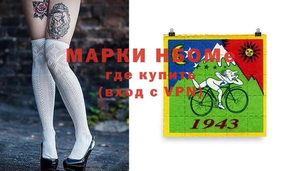 шишки Абаза