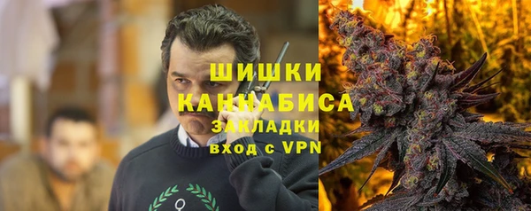шишки Абаза