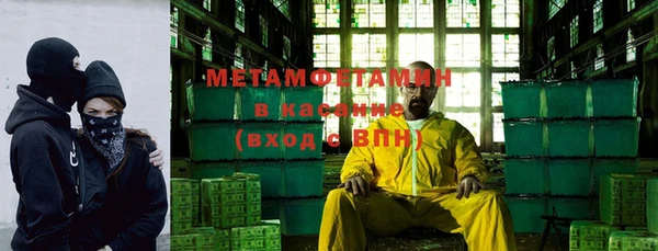шишки Абаза
