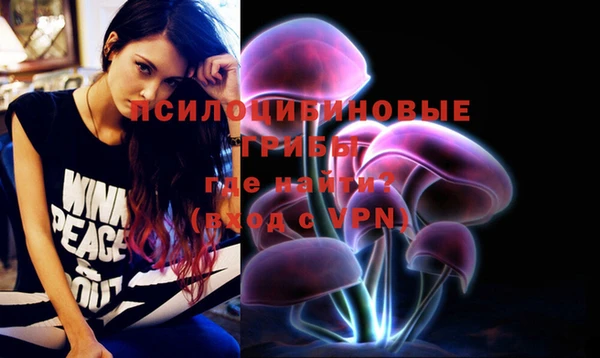 шишки Абаза
