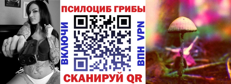 продажа наркотиков  Руза  Галлюциногенные грибы мухоморы 